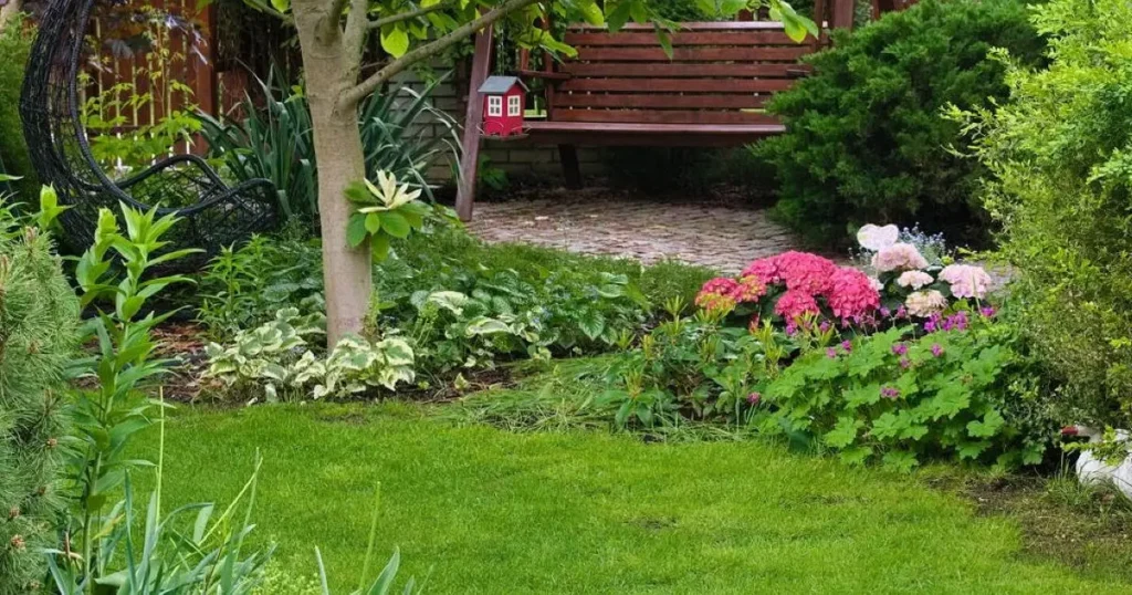 gyönyörű kert háttérben paddal